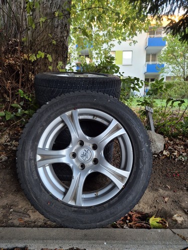 255 r16 95h - 255, goodyear